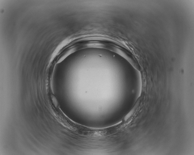 X0000063480056200601231357