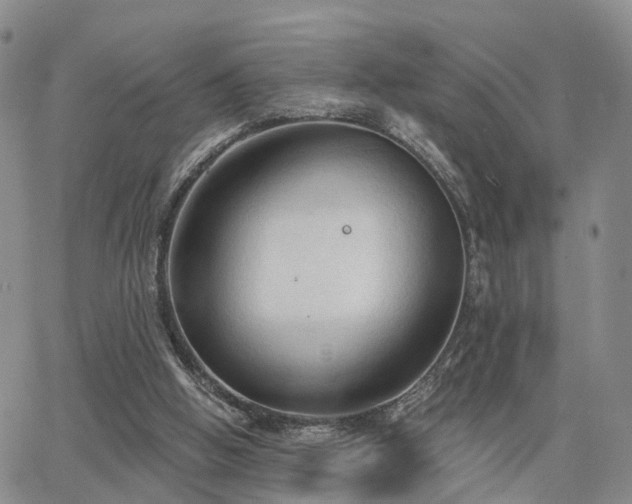 X0000063480058200601231357