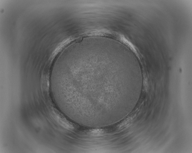 X0000063480059200601231357