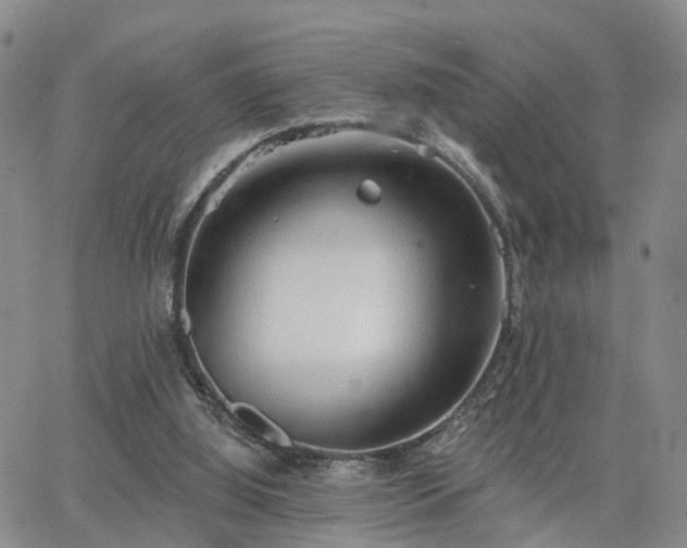 X0000063480060200601231357