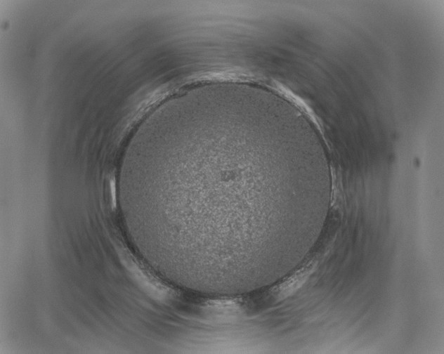 X0000063480061200601231357