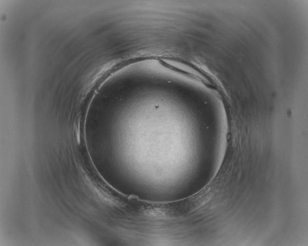 X0000063480062200601231357