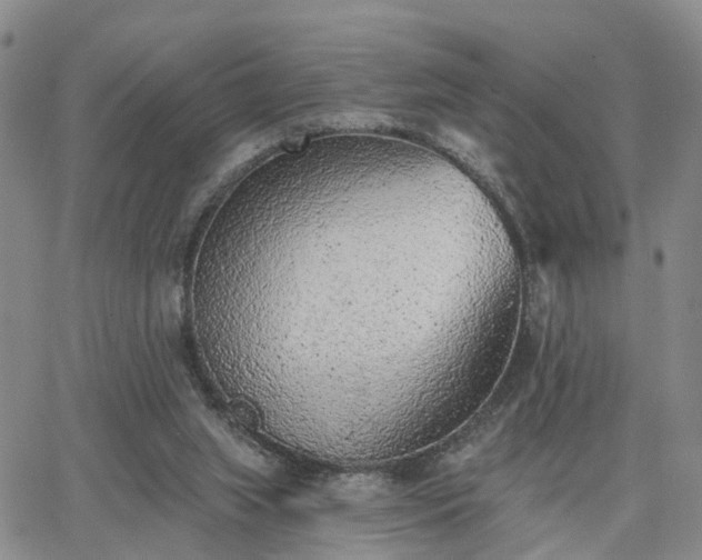 X0000063480063200601231357