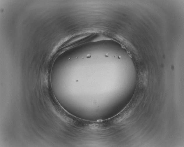 X0000063480064200601231357