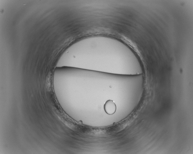 X0000063480065200601231357