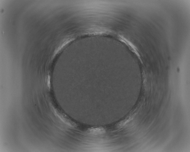 X0000063480067200601231357