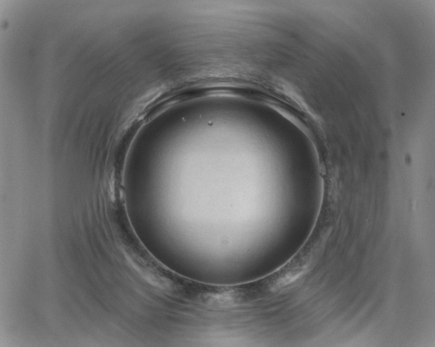 X0000063480068200601231357