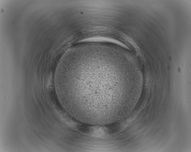 X0000063480073200601231357