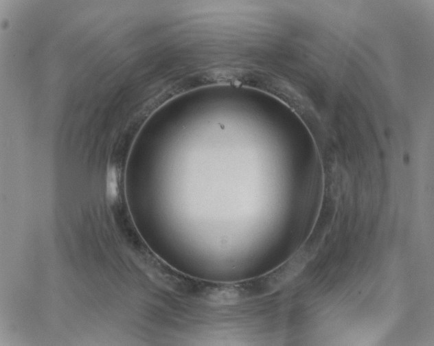 X0000063480075200601231357