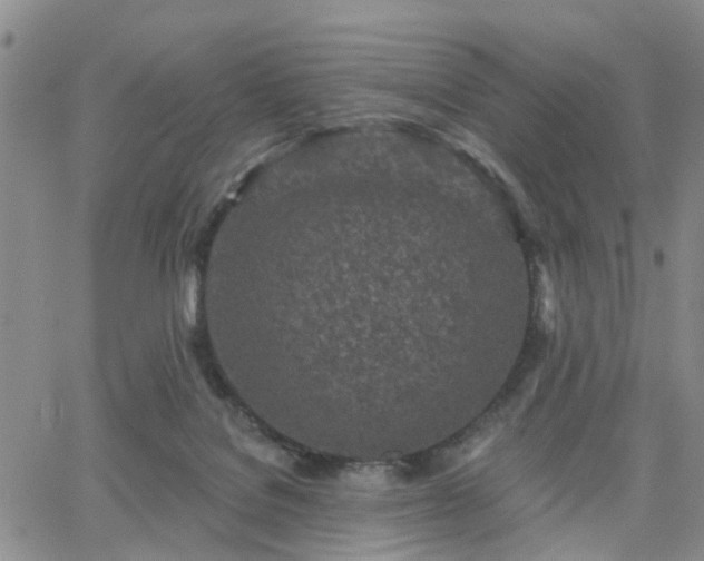 X0000063480076200601231357