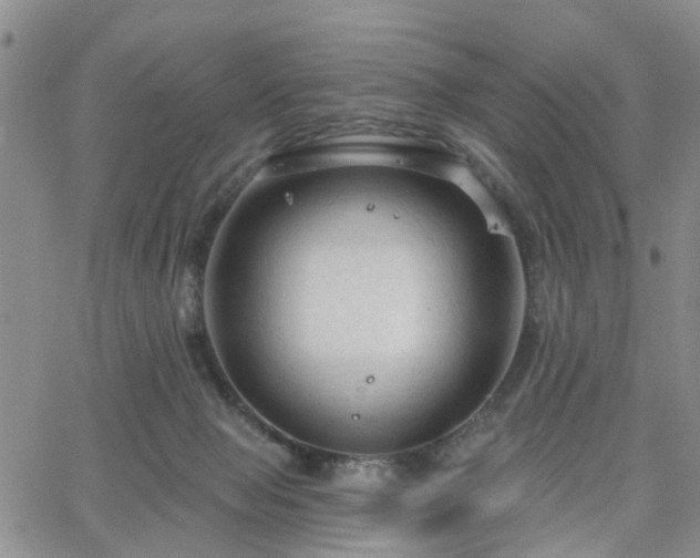 X0000063480077200601231357