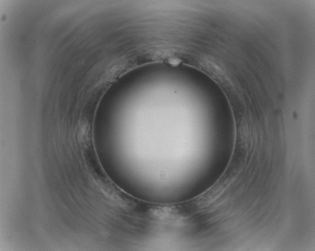 X0000063480079200601231357