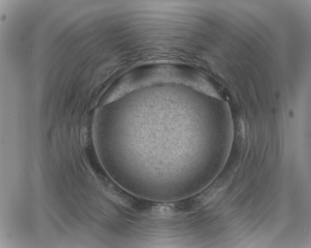 X0000063480080200601231357