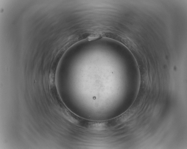 X0000063480081200601231357