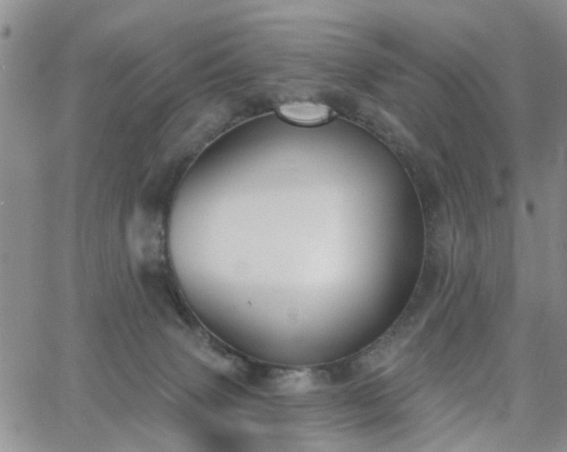 X0000063480083200601231357