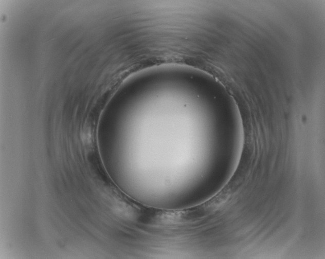 X0000063480084200601231357