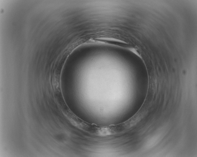 X0000063480091200601231358