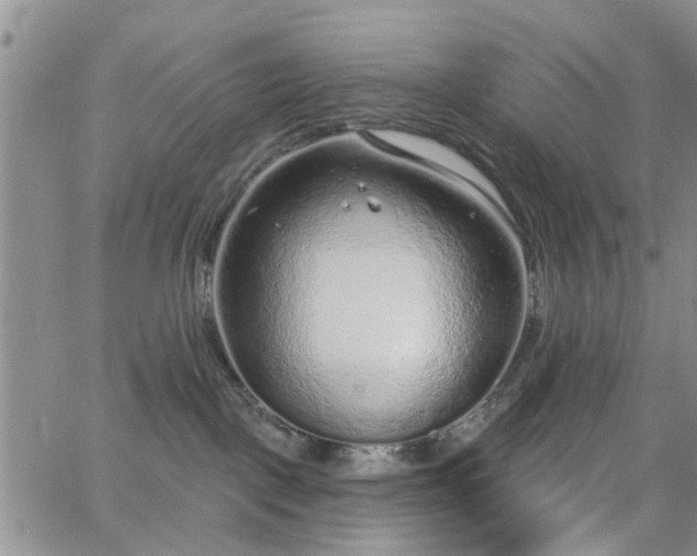 X0000063480093200601231358