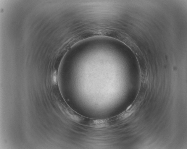 X0000063480095200601231358