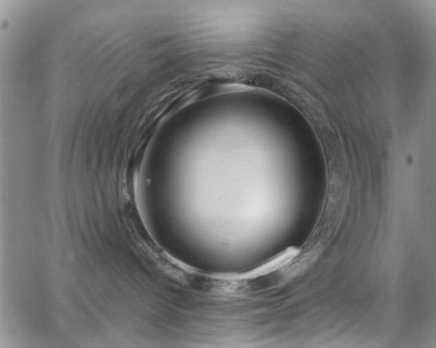 X0000063480096200601231358