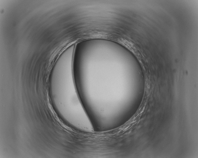 X0000063480097200601231357