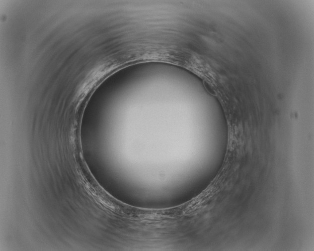 X0000063480098200601231357