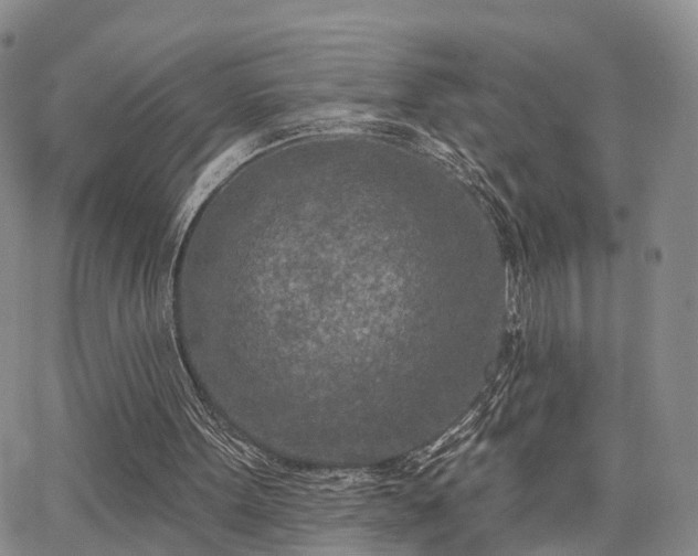 X0000063480099200601231357