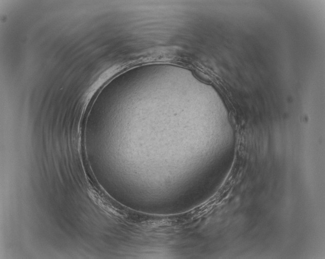 X0000063480100200601231357