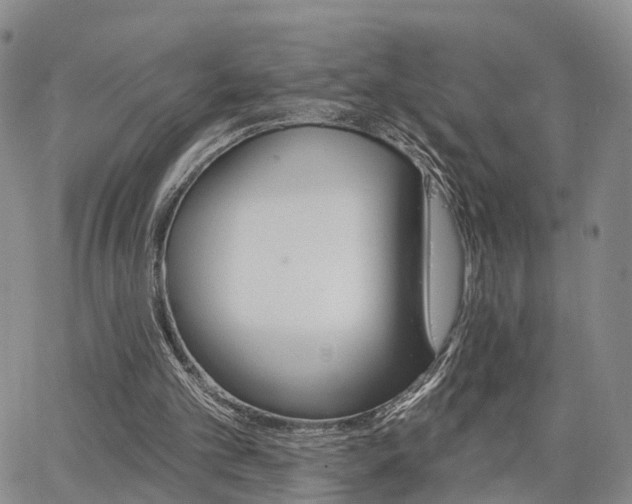 X0000063480101200601231357