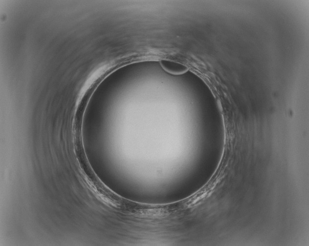 X0000063480102200601231357