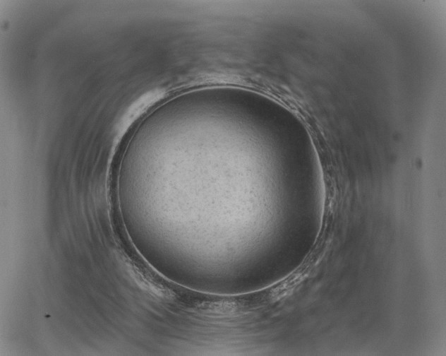 X0000063480104200601231357