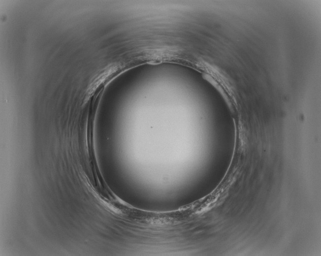 X0000063480105200601231357