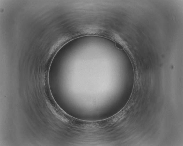 X0000063480106200601231357