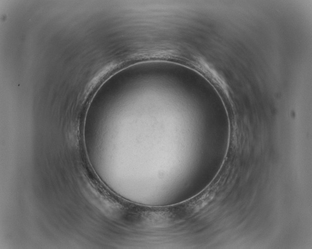 X0000063480107200601231357