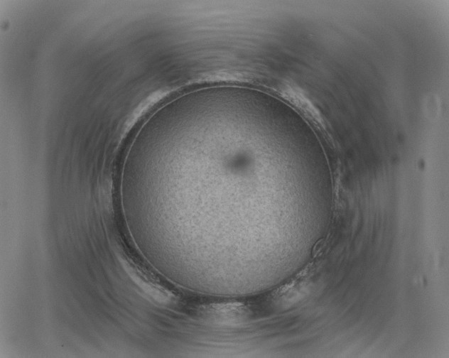 X0000063480108200601231357