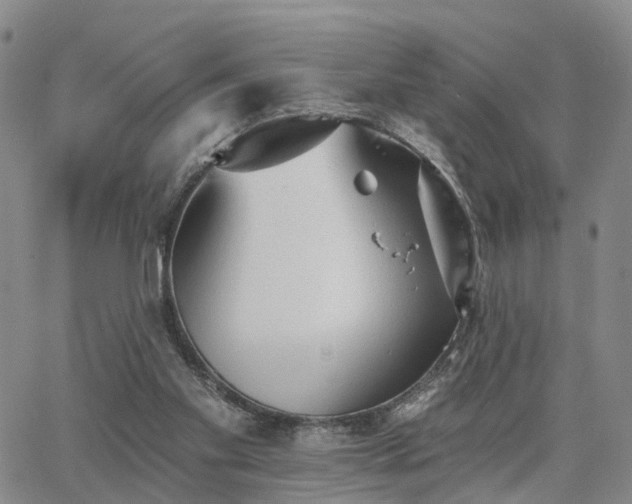 X0000063480109200601231357