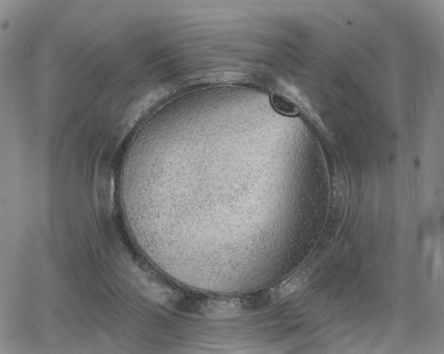 X0000063480110200601231357