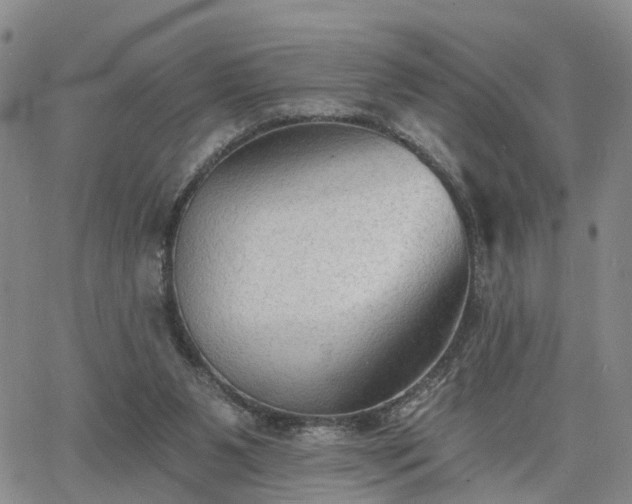 X0000063480111200601231357