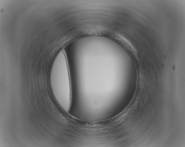 X0000063480113200601231357