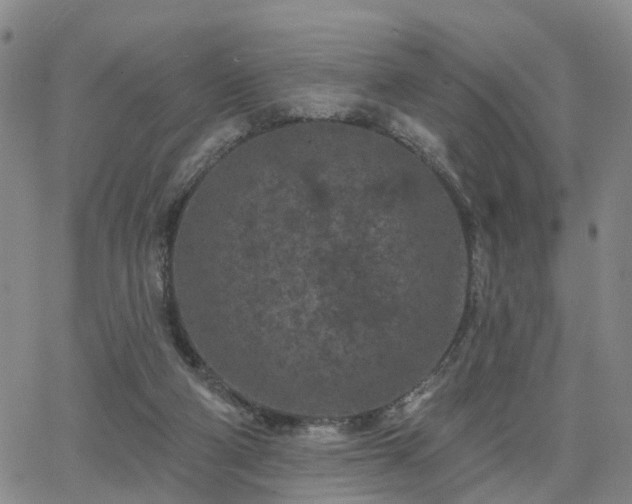 X0000063480114200601231357