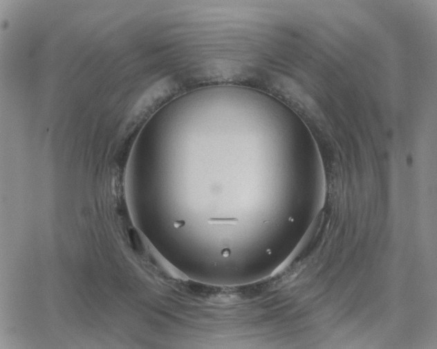 X0000063480119200601231356