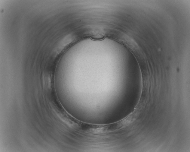 X0000063480120200601231356