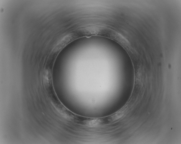 X0000063480122200601231356