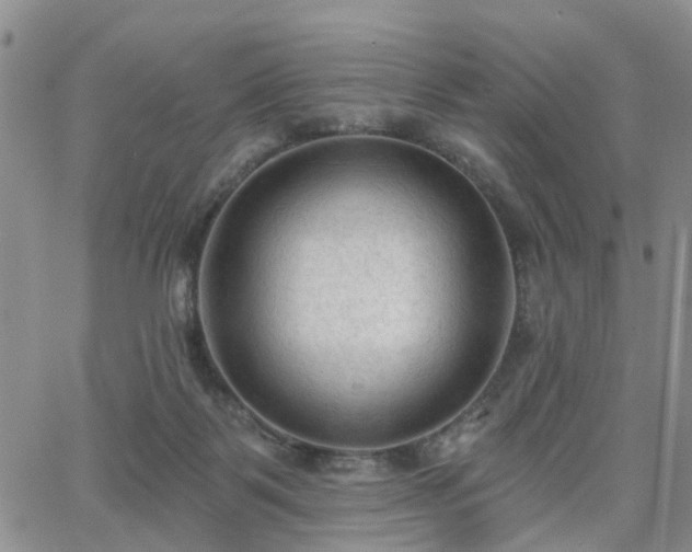 X0000063480123200601231356