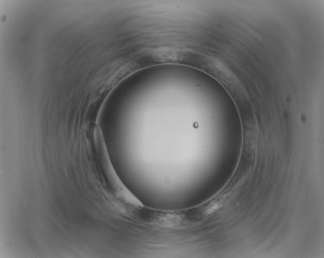 X0000063480125200601231356