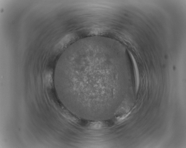 X0000063480127200601231356