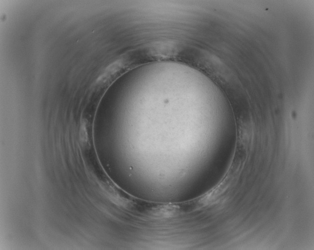 X0000063480128200601231356