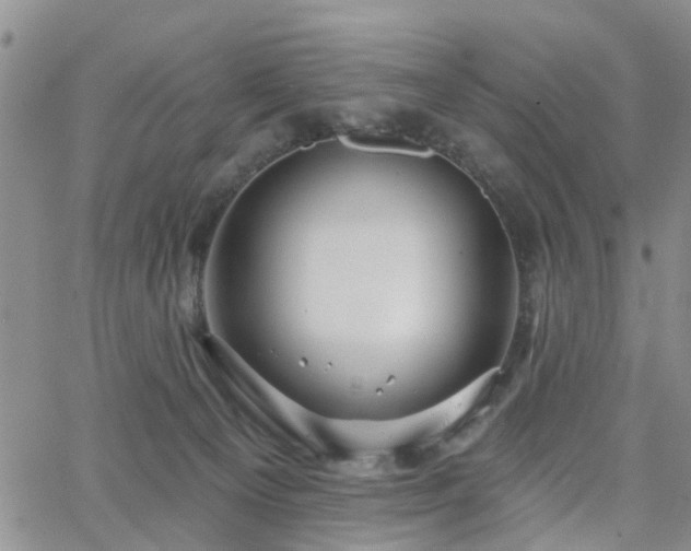 X0000063480129200601231356