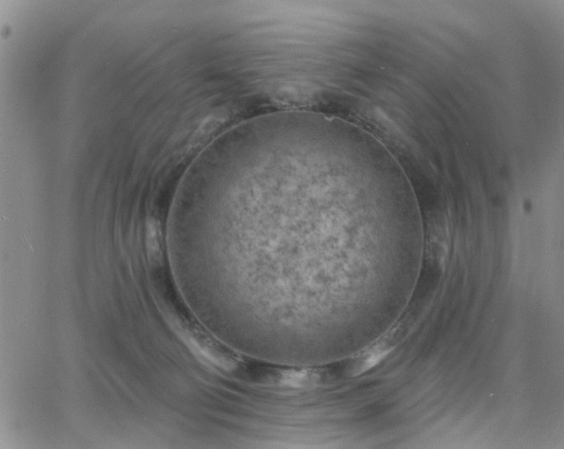 X0000063480130200601231356