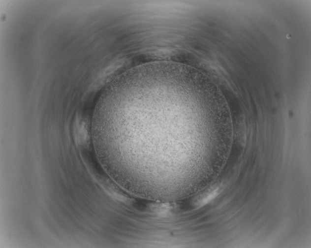 X0000063480131200601231356